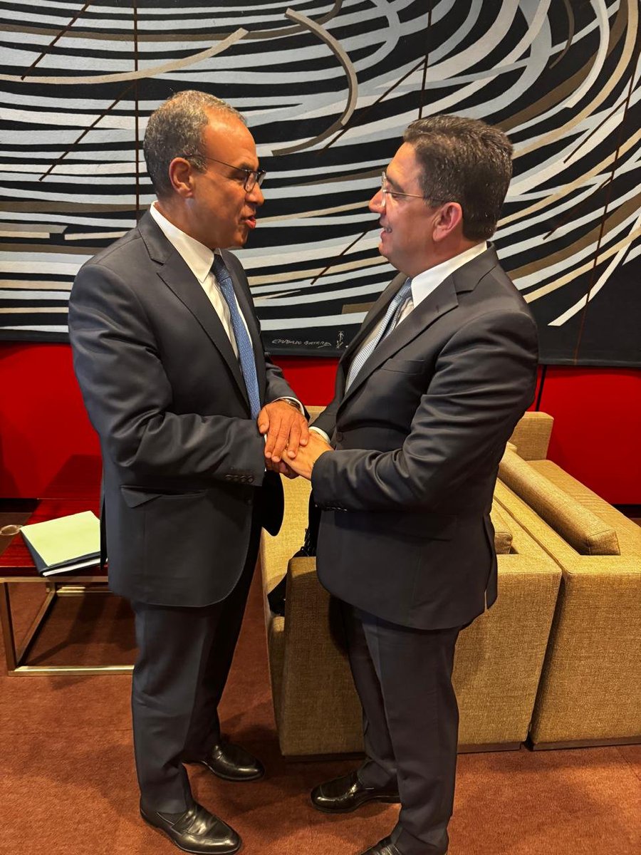 En marge de la réunion ministérielle Union Européenne-Voisinage Sud,M. Nasser Bourita s’est entretenu, ce jour à Bruxelles, avec son homologue de la République arabe d'Égypte, M. Badr Abdelatty