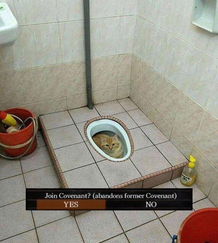 dark souls toilet (@darksoulstoilet) on Twitter photo 