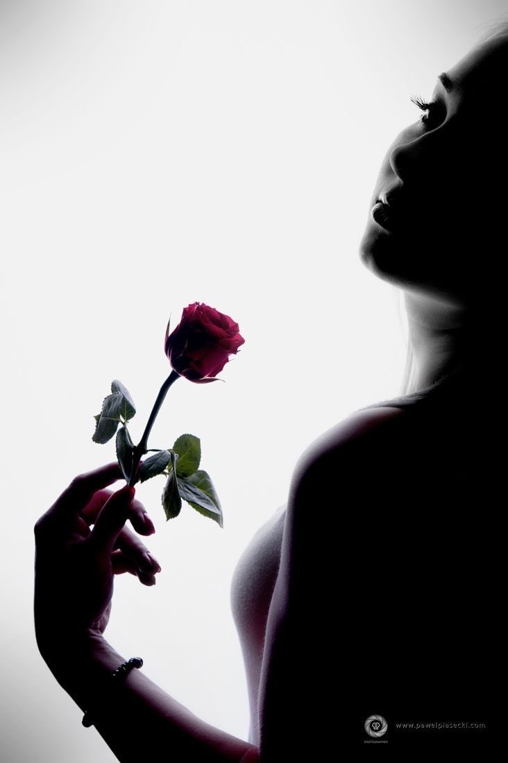 لاانتي وردة  ولا قلبي مزهرية من خزف
صدفه وحده جمعتنّا شوفي وشلون الصدف
التقينا في مدينه وفرقتنا الف ميناء
اغفري للريح والموج  والسفينة
كانت الرحلة حزينه ⛴️⚓️🌊🌹