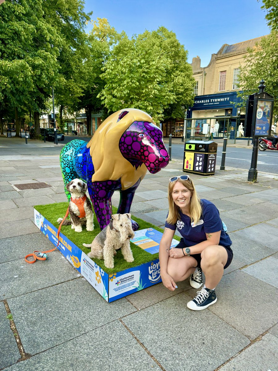 Bertie Lakeland (@bertie_lakeland) on Twitter photo This evening Bobster and I were invited to learn all about the Cheltenham Lions. We had a fascinating evening with Carrie from <a href="/lions_at_large/">Lions at Large Trail</a> exploring and finding out all about the different lions and the charity involved ❤️
#lionsatlarge #cheltenham
#lions This evening Bobster and I were invited to learn all about the Cheltenham Lions. We had a fascinating evening with Carrie from <a href="/lions_at_large/">Lions at Large Trail</a> exploring and finding out all about the different lions and the charity involved ❤️
#lionsatlarge #cheltenham
#lions