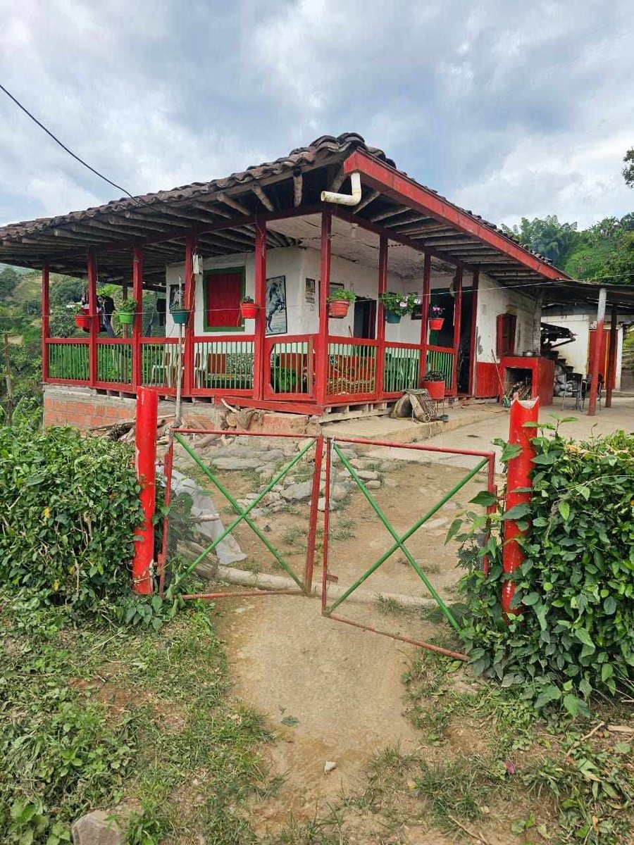 La felicidá.
Aranzazu Caldas, vereda San Rafael.