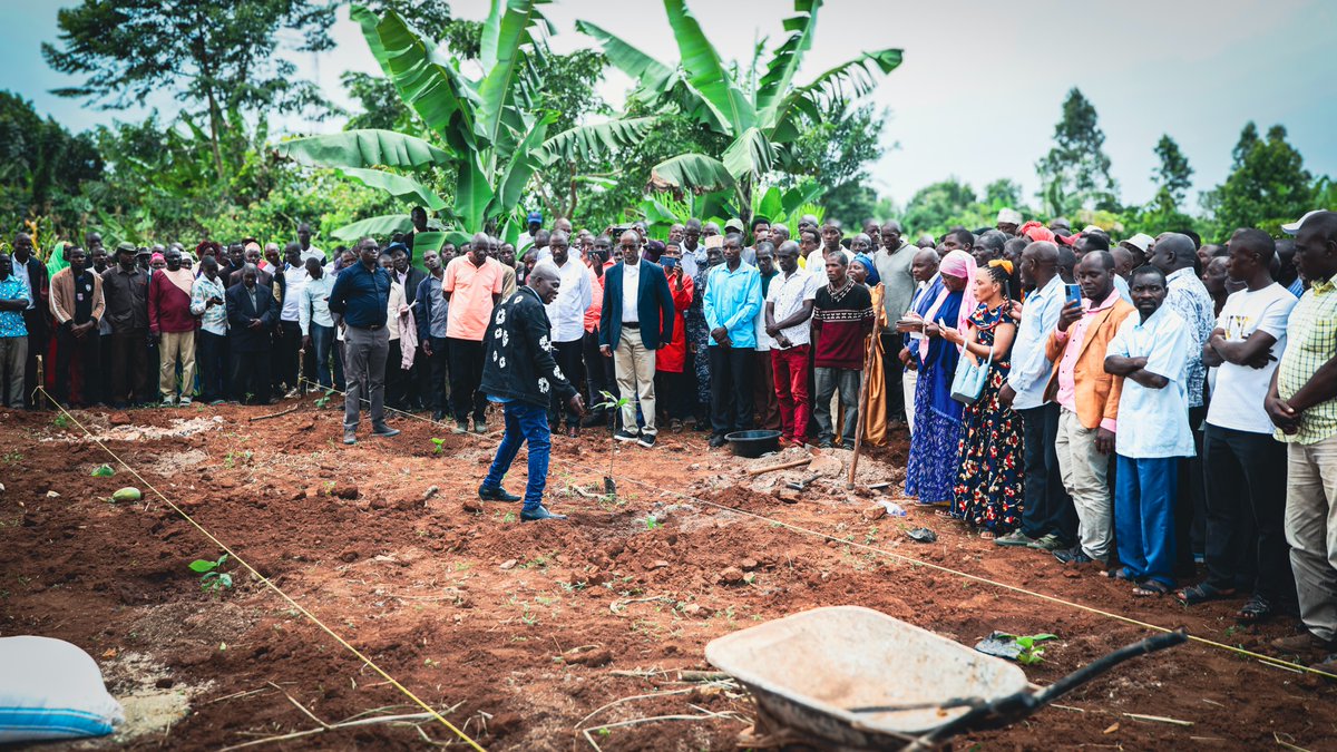Odrek_Rwabwogo's tweet image. 📍Kamuli Municipality,
We spent the day in Kamuli, immersed in practical learning and the discipline of production for export.
Hosted at the home of Mr. Thomas Kategere, with whom we work at @paceidug, our session focused on hands-on training and field demonstrations. Farmers…