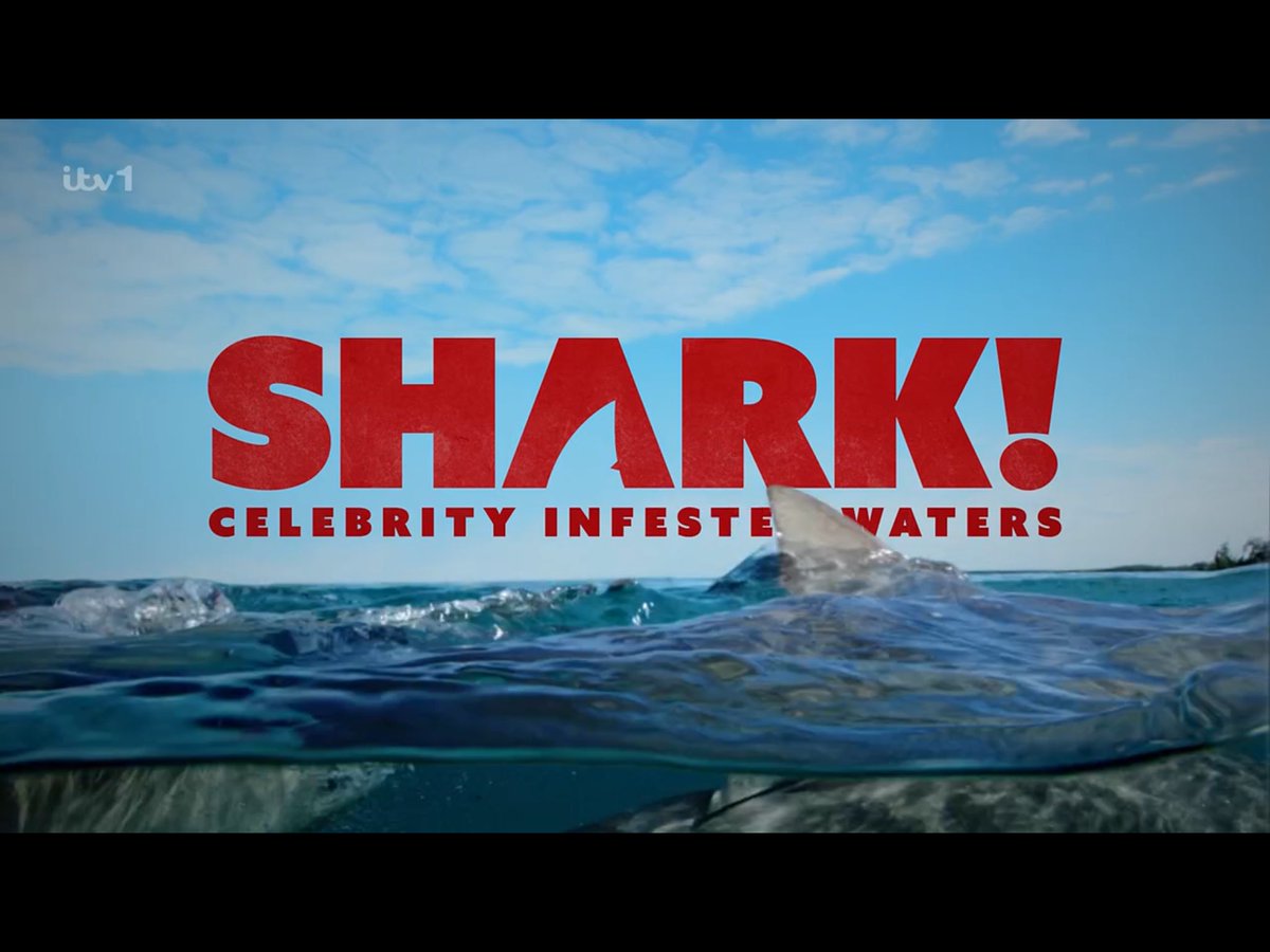 KDCunliffe's tweet image. This is pretty much unwatchable because there’s one celebrity on there who wants the entire programme to be about “me me me”.
#CelebrityInfestedWaters
#shark
#sharkcelebrityinfestedwaters
#sharkinfestedwaters