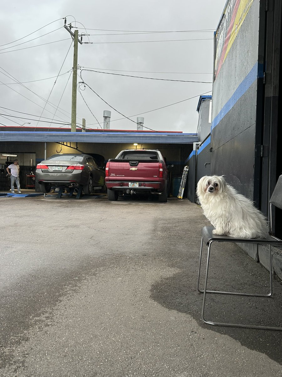 _stevieg__'s tweet image. Quick alignment became 4 hour wait for some screws but at least it started pouring and my dog pal left me