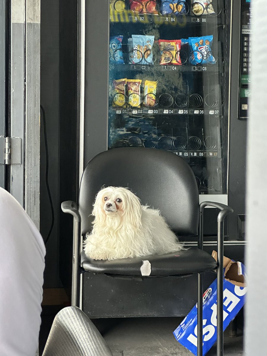 _stevieg__'s tweet image. Quick alignment became 4 hour wait for some screws but at least it started pouring and my dog pal left me