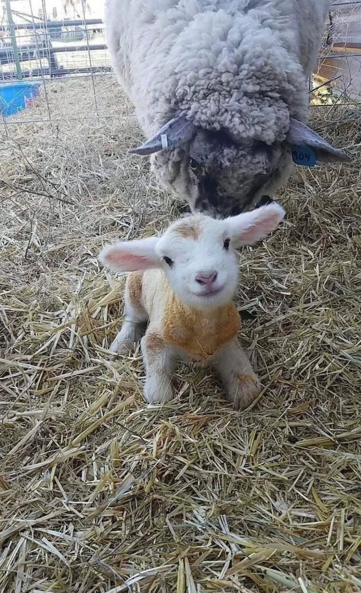Hello world, 15 minutes old 🥺