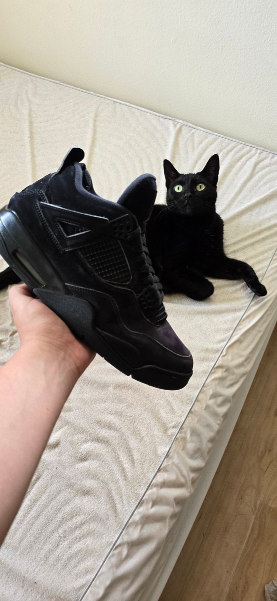 Scams 🪤 (@x_scammer_) on Twitter photo 