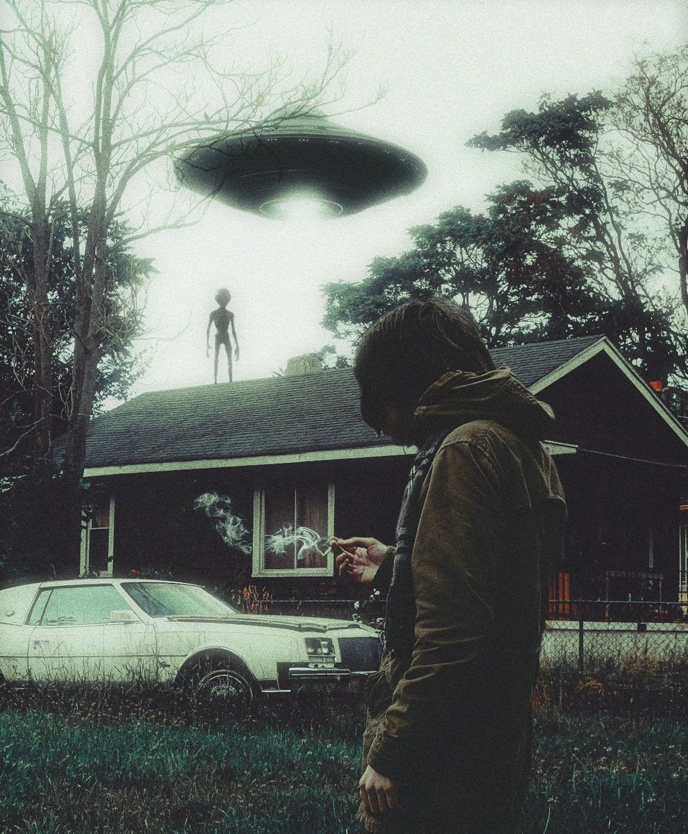 the visitors 
by <a href="/cult_class/">Caitlyn Grabenstein</a>