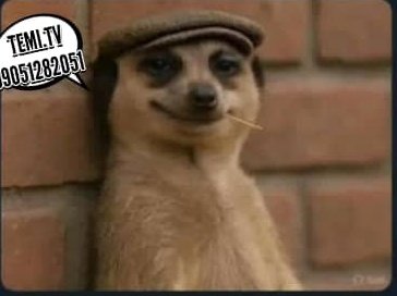 MaxmanPeters's tweet photo. Zenith and access bank watching you eat before paying 😂 https://t.co/j1DrpoF5qk