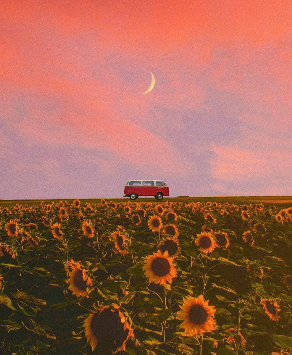 escape 
by <a href="/cult_class/">Caitlyn Grabenstein</a>