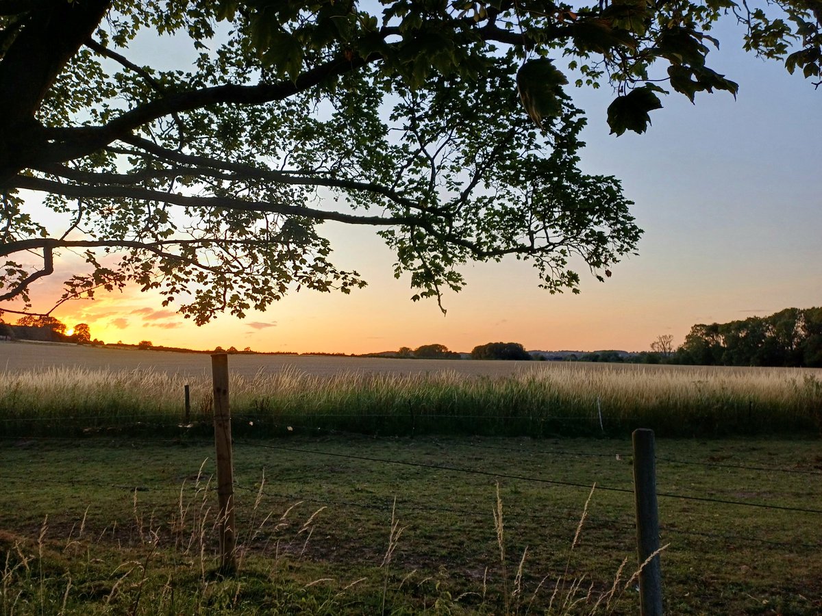 The cool air this evening  is lush . #Staffordshire