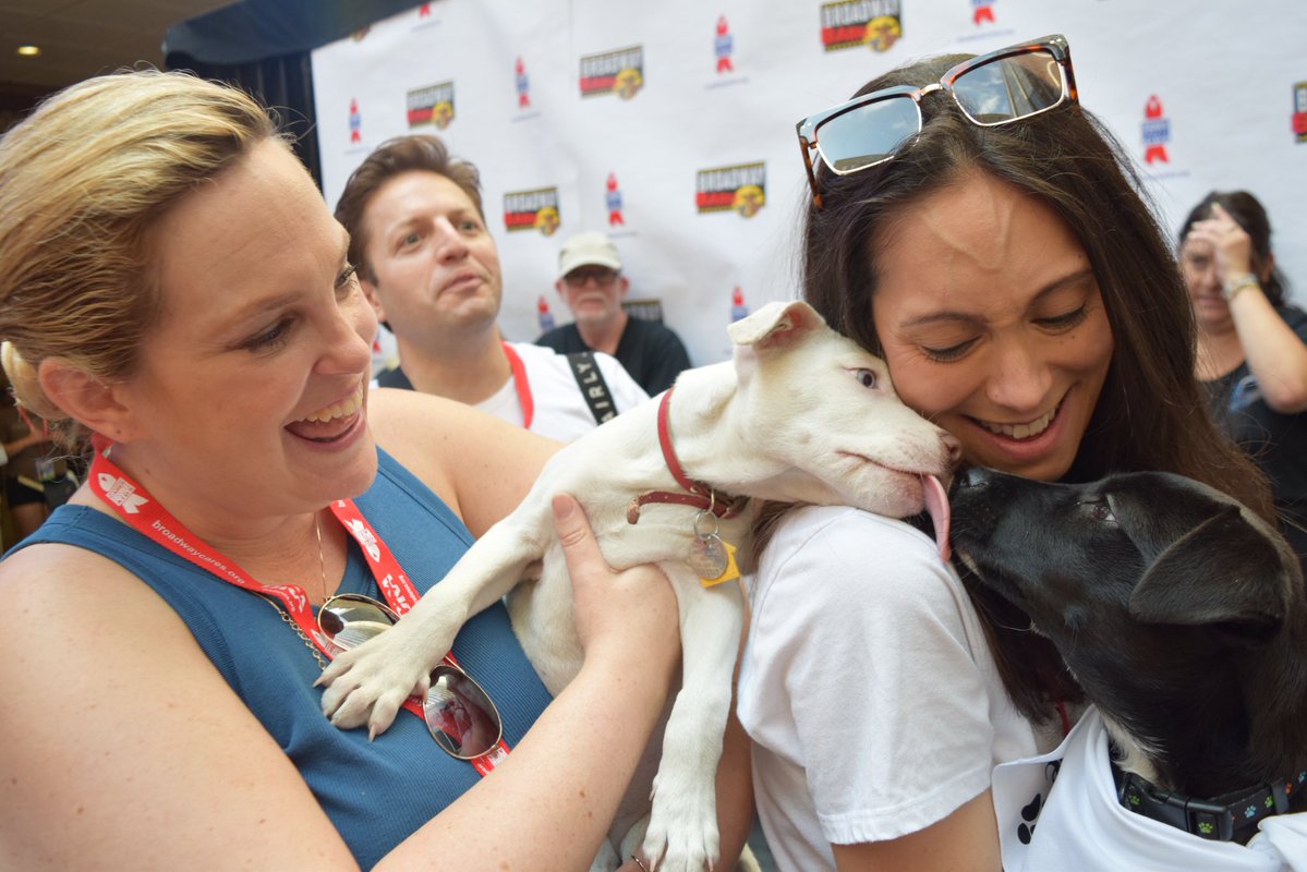 GillianBlum's tweet image. I had such a blast taking photos for @BroadwayWorld at Broadway Barks this year!!
Here are a few highlights, ft: Orville Peck, Fina Strazza, Sadie Sink, Amalia Yoo, Zoë Roberts, Claire-Marie Hall, and Helen J Shen 🐾🌟
(📸 Gillian Blum)
#BroadwayBarks @BroadwayBarks