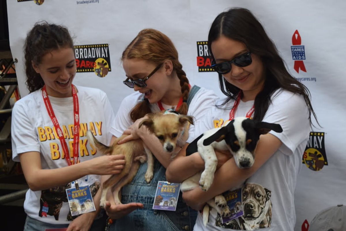 GillianBlum's tweet image. I had such a blast taking photos for @BroadwayWorld at Broadway Barks this year!!
Here are a few highlights, ft: Orville Peck, Fina Strazza, Sadie Sink, Amalia Yoo, Zoë Roberts, Claire-Marie Hall, and Helen J Shen 🐾🌟
(📸 Gillian Blum)
#BroadwayBarks @BroadwayBarks