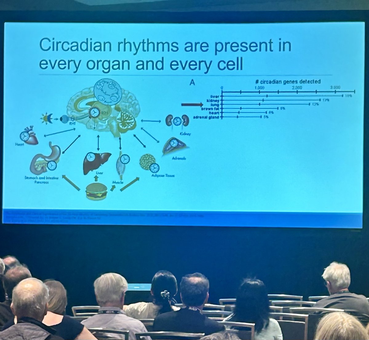 CSD_N's tweet image. What a wonderful #SLEEP2025! We were truly inspired by the interest in misaligned body clocks and circadian rhythm disorders this year! #DSPD #non24 #nightowl #patient  #Advocacy