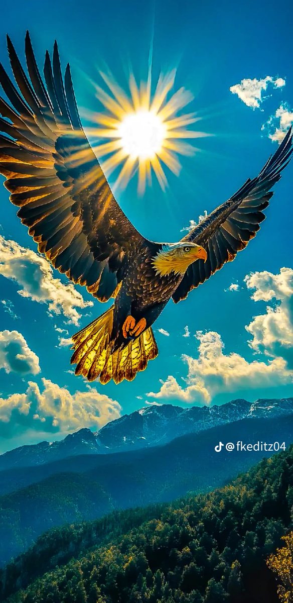 شمال الرياض