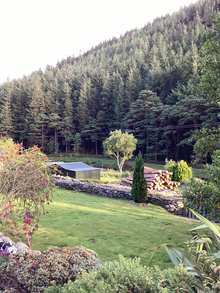 teresa pearce (@tpearce003) on Twitter photo Wicklow …tis  v  nice Wicklow …tis  v  nice