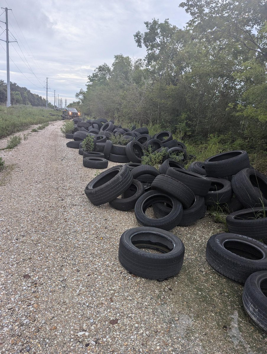 LaWildlife&Fisheries (@ldwf) on Twitter photo During the last fiscal year, the LDWF southeastern region of the Enforcement Division ๐๐ฟ๐ผ๐๐ฒ ๐ด๐ญ ๐ฐ๐ถ๐๐ฎ๐๐ถ๐ผ๐ป๐ ๐ณ๐ผ๐ฟ ๐น๐ถ๐๐๐ฒ๐ฟ๐ถ๐ป๐ด ๐๐ถ๐ผ๐น๐ฎ๐๐ถ๐ผ๐ป๐ - totaling over ๐ฑ๐ฌ๐ฌ ๐ต๐ผ๐๐ฟ๐ of investigative work. Read more: lnkd.in/g79F_cpb During the last fiscal year, the LDWF southeastern region of the Enforcement Division ๐๐ฟ๐ผ๐๐ฒ ๐ด๐ญ ๐ฐ๐ถ๐๐ฎ๐๐ถ๐ผ๐ป๐ ๐ณ๐ผ๐ฟ ๐น๐ถ๐๐๐ฒ๐ฟ๐ถ๐ป๐ด ๐๐ถ๐ผ๐น๐ฎ๐๐ถ๐ผ๐ป๐ - totaling over ๐ฑ๐ฌ๐ฌ ๐ต๐ผ๐๐ฟ๐ of investigative work. Read more: lnkd.in/g79F_cpb