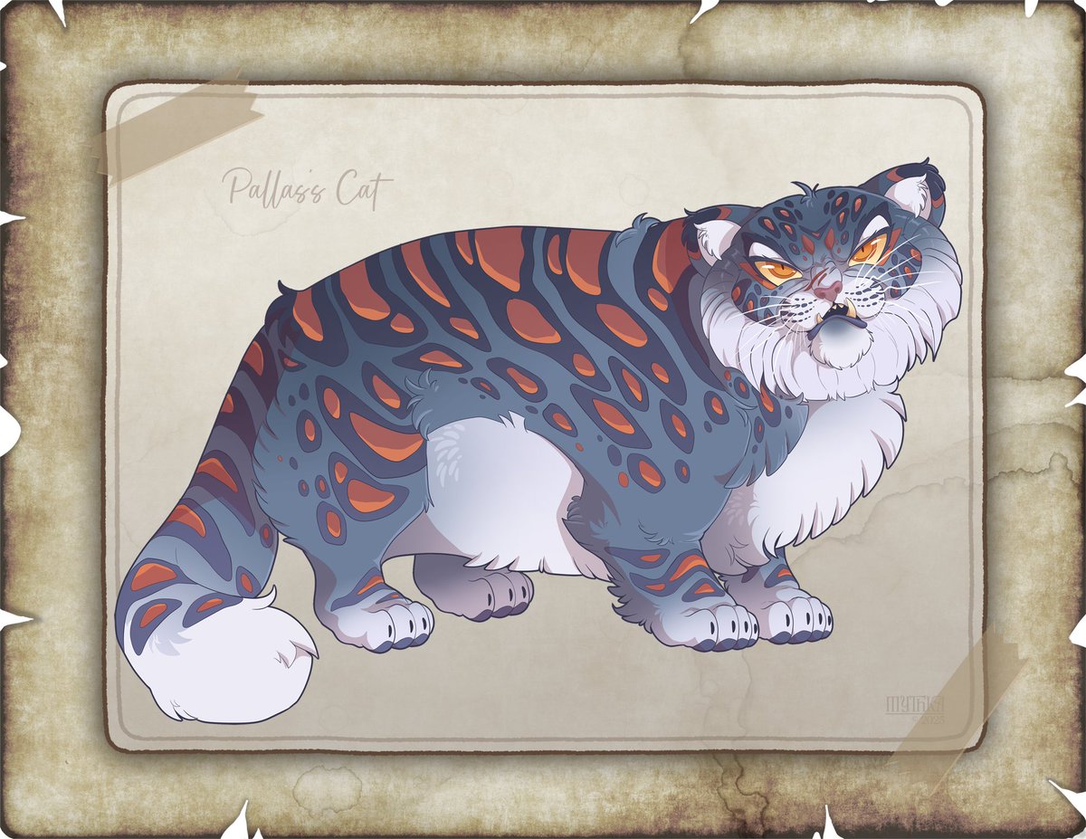 MythkaGO's tweet image. Fantastical Field Guide Entry 036:
Pallas's Cat
Commission for WeaselBeast