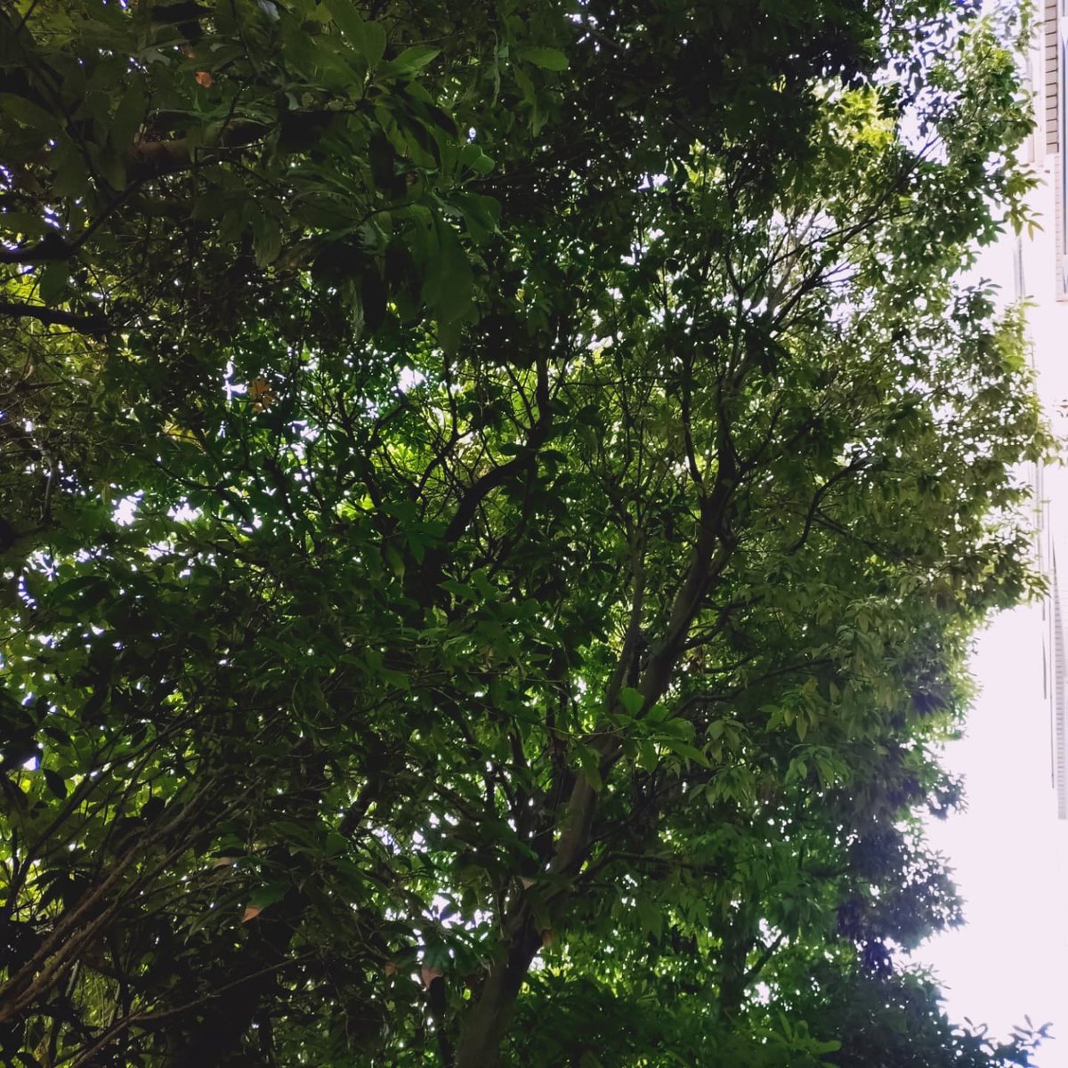 おはようございます☀️
今日( 7月15日(火) )は晴れてます☀️

体調には十分に気をつけて、今日も頑張りましょ～✨