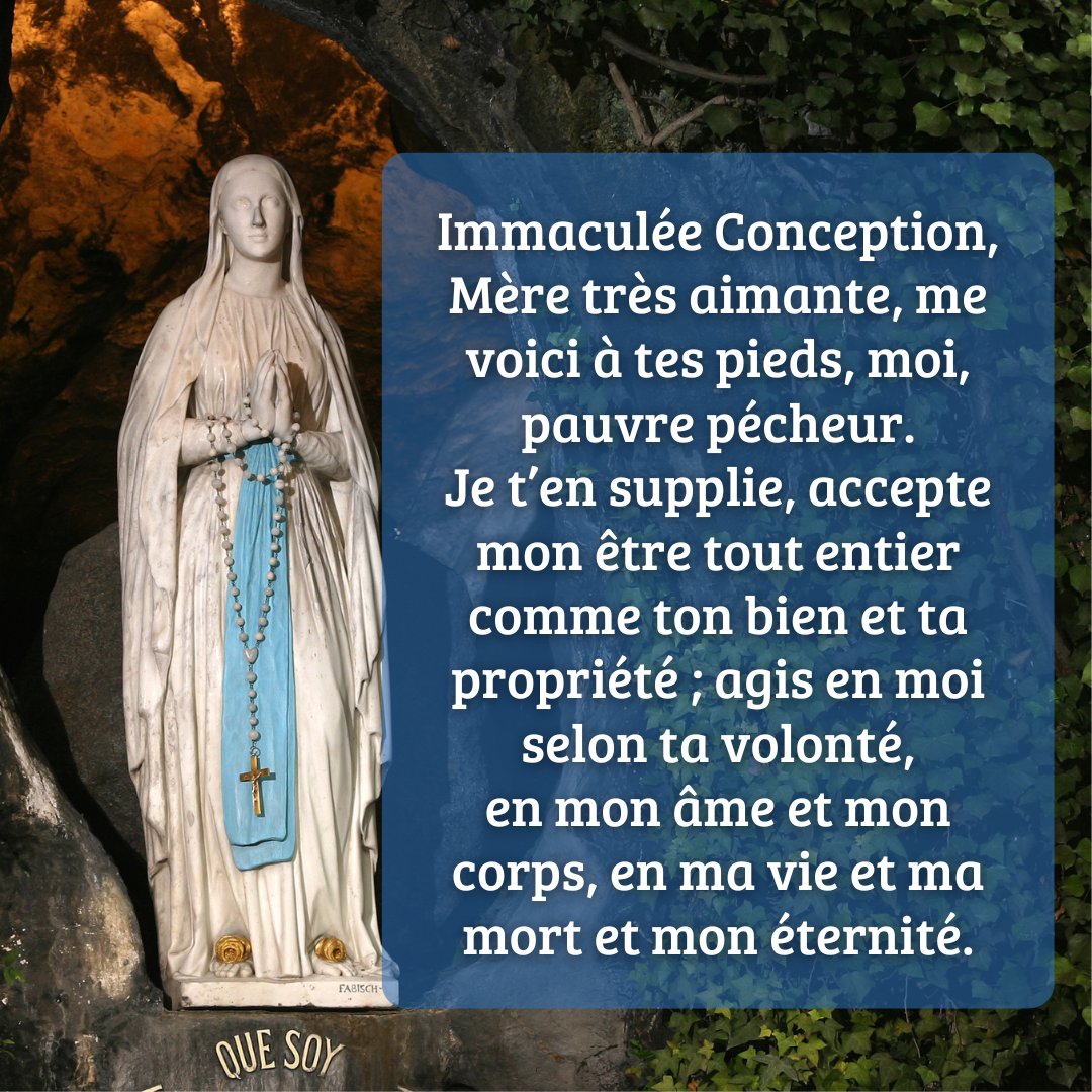Une Minute Avec Marie (@minuteavecmarie) on Twitter photo 