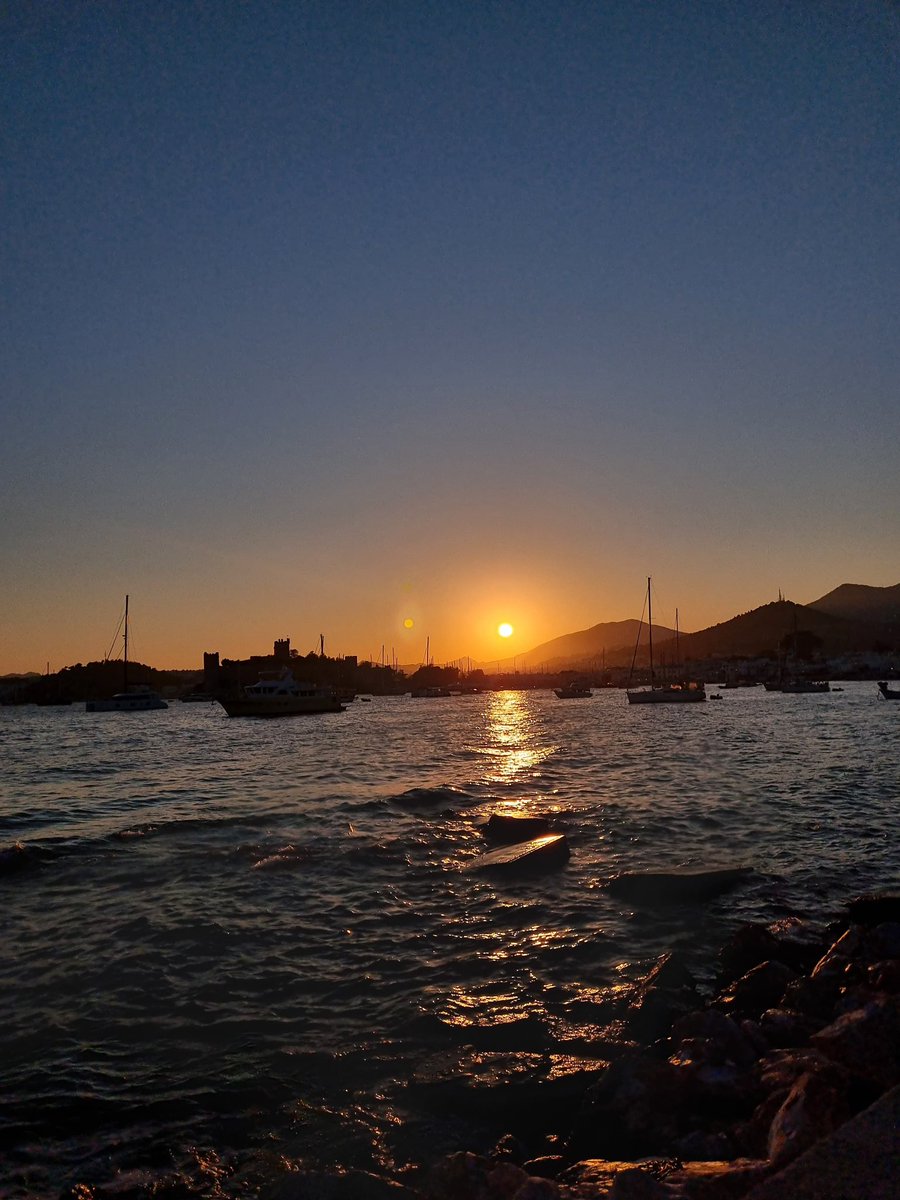 ☀️🌊