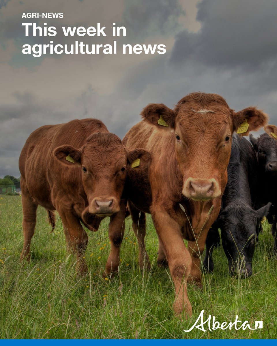 Alberta Agriculture and Irrigation (@albertaag) on Twitter photo This week in Agri-News:
4️⃣Promoting 4R
📜AB modernizes ag legislation 
💧Water analysis for ag use
🌱To spray or not to spray
🐄Lead poisoning in cattle
💻Pre-harvest webinar
📈 Markets, events and more!
View this week’s: secure.campaigner.com/CSB/Public/arc…
#abag This week in Agri-News:
4️⃣Promoting 4R
📜AB modernizes ag legislation 
💧Water analysis for ag use
🌱To spray or not to spray
🐄Lead poisoning in cattle
💻Pre-harvest webinar
📈 Markets, events and more!
View this week’s: secure.campaigner.com/CSB/Public/arc…
#abag