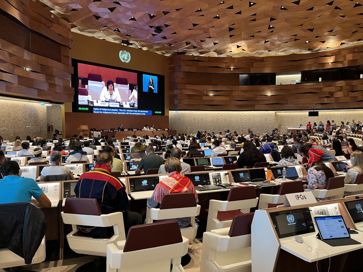 Indigenous Peoples’ Rights International - IPRI tweet media