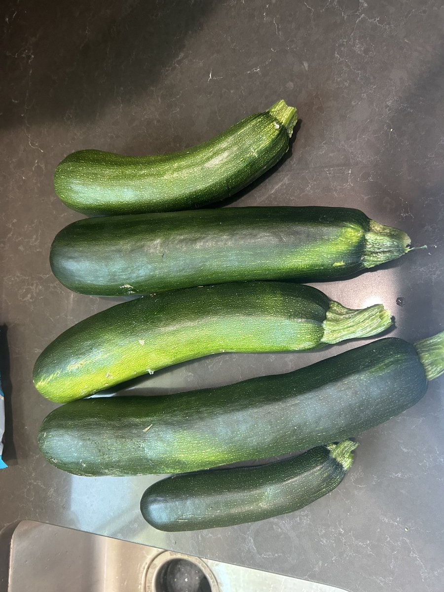 Zucchini season has started.
