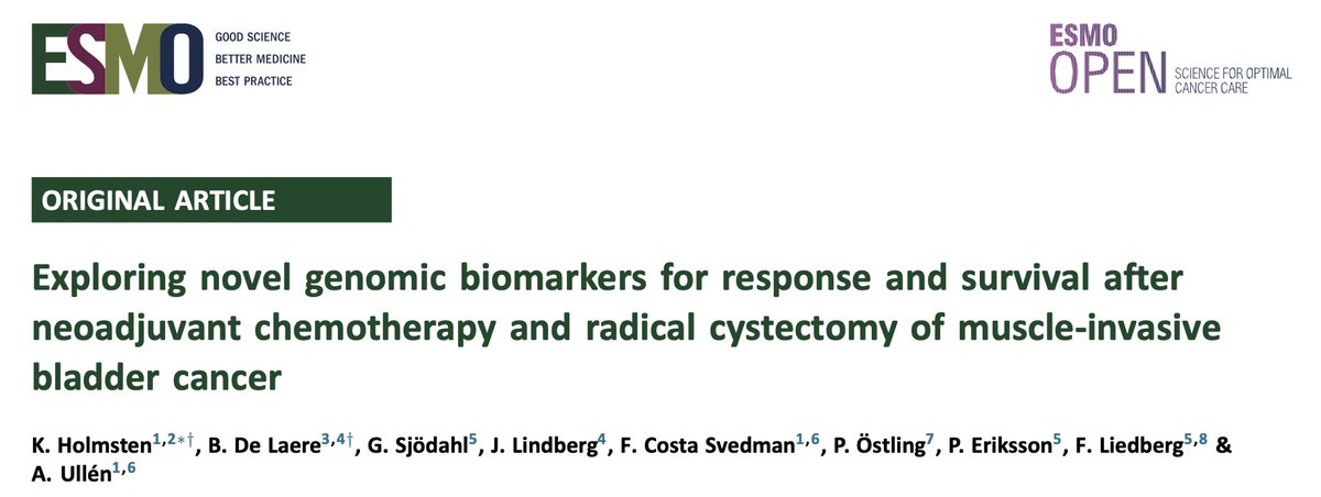 Bram De Laere tweet media