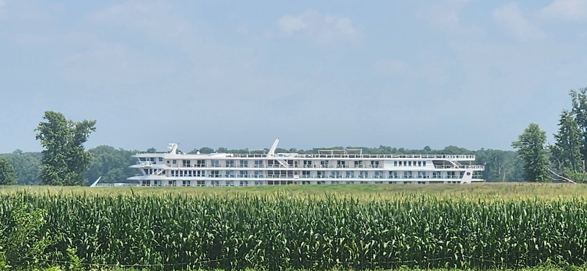 AI is really getting wild

Or

I just farm in the floodplain