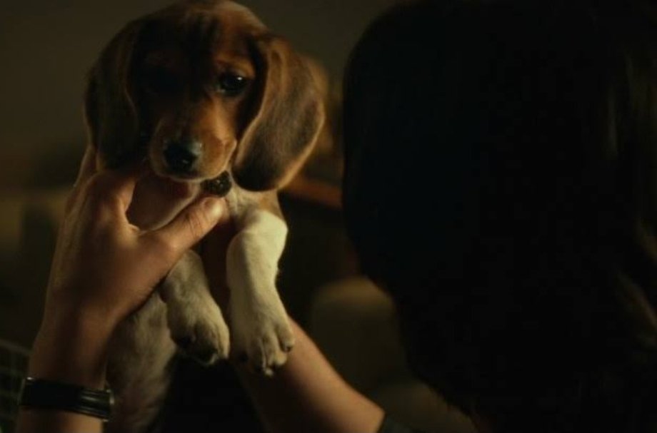 Karakter ve kıymetlisi