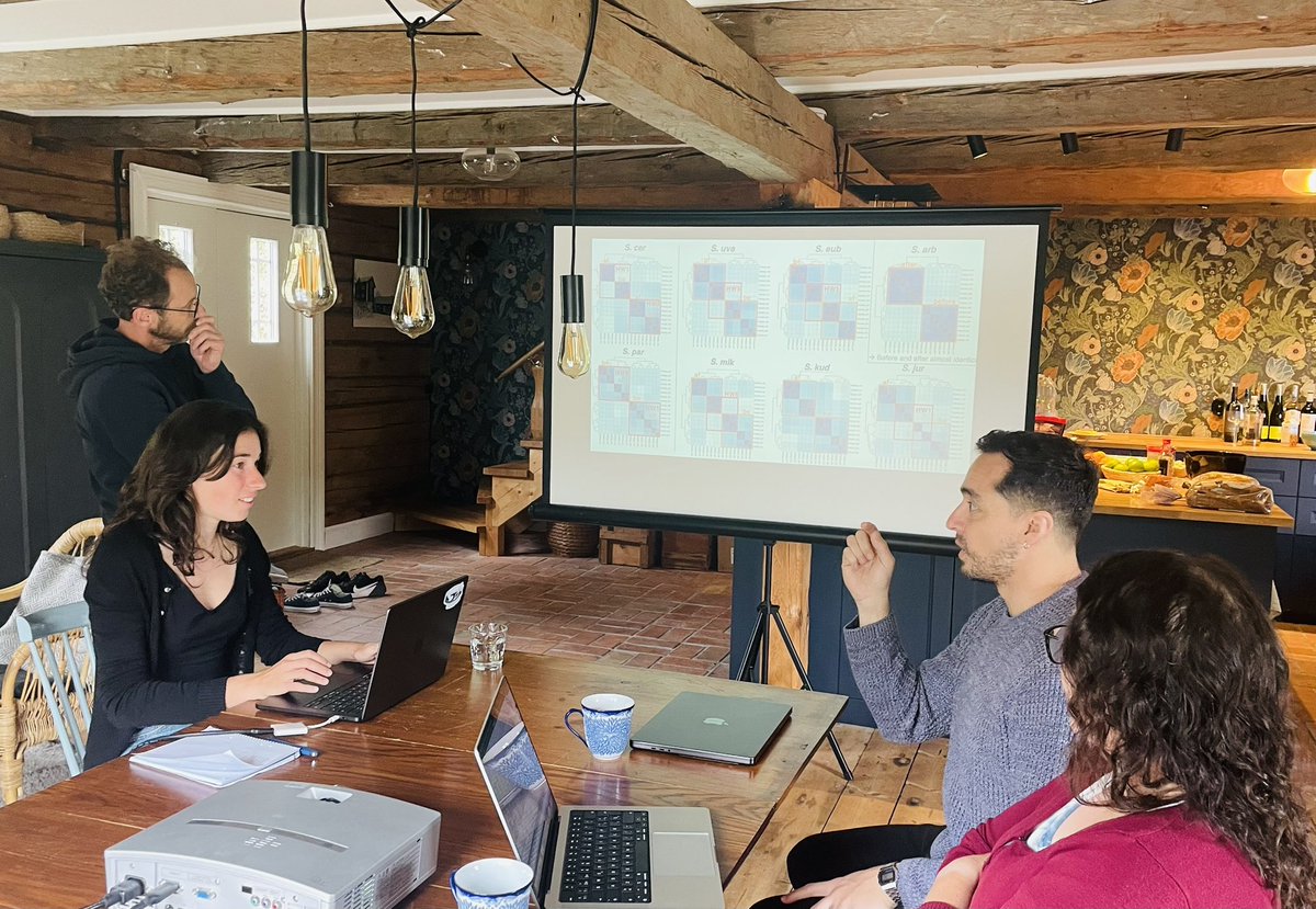 StelkensLab's tweet image. We hosted illustrious international guest for our workshop on yeast genomics and evolution in Sweden! Thanks to @FcocubillosR @pablovilla81 and Gilles Fischer for sciencing, kayaking, walking, talking, beer tasting, and just generally making science as fun as it can be!