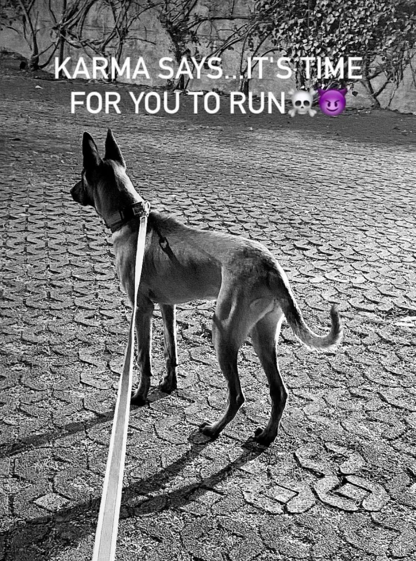 S3r3n4Wolf's tweet image. Corri veloce perché se comincia a correre lei …