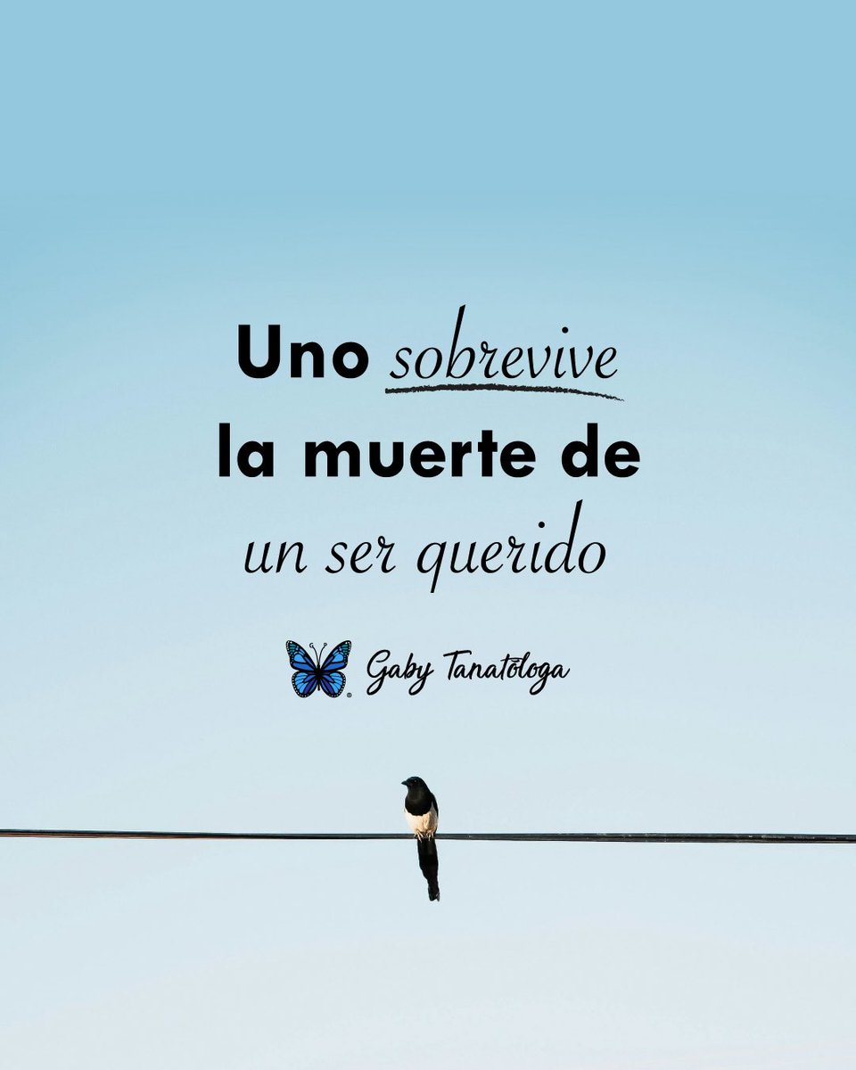 Sin duda, aunque al principio no sabes ni cómo sucederá, sucede🙏🦋