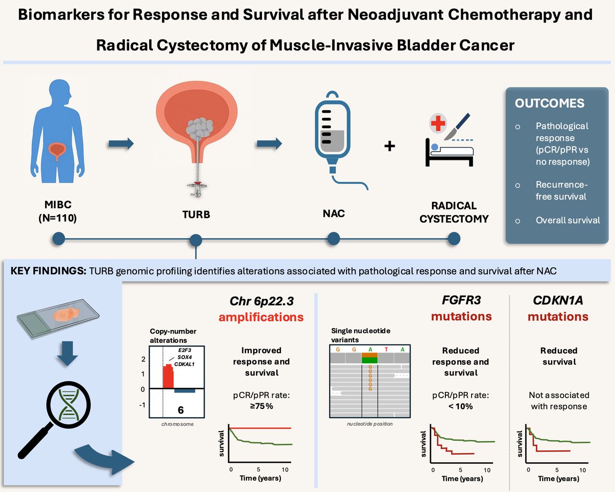 Bram De Laere tweet media