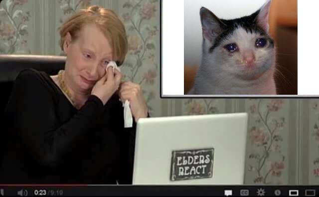 ShitpostBot 5000 (@shitpostbot5000) on Twitter photo 
