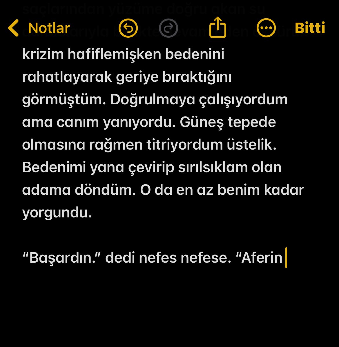 bıktım kendimden ve devam etmeyeceğim şeylere adım atmaktan