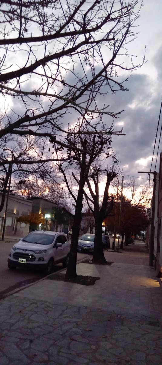 Tardecita 18:29 pm.!
Tormenta por todos lados !!
Las plantas desmudaron sus hojas
 Mi pueblo !