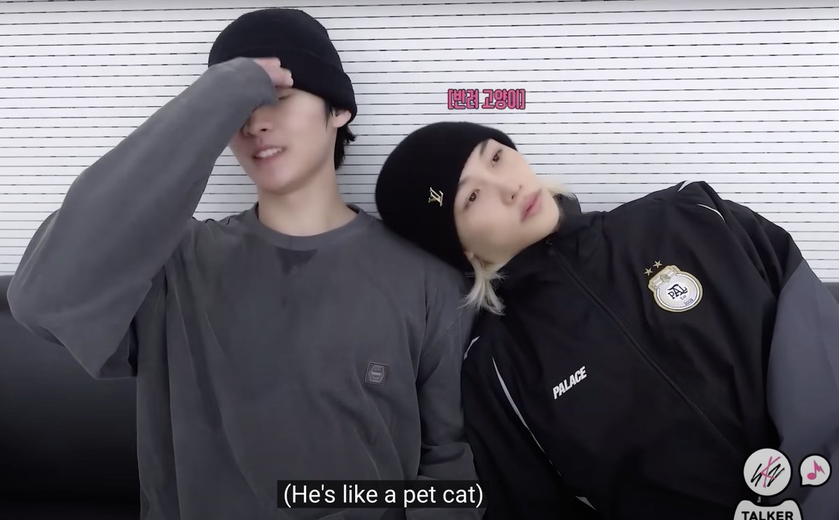 lino and his pet cat