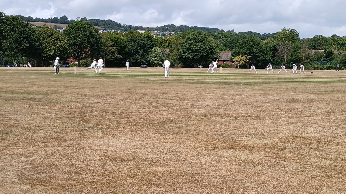 Ian Palmer tweet media