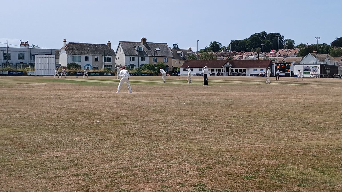 Ian Palmer tweet media