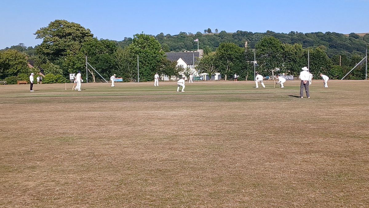 Ian Palmer tweet media