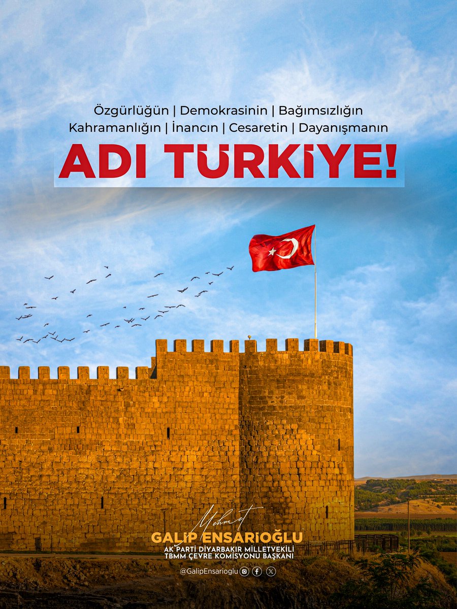 Her renkten, her dilden, tek yürek: TÜRKİYE 🇹🇷

#15TemmuzDestanı
