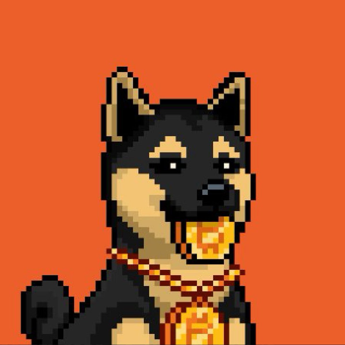 ftmgboysceo's tweet photo. @UnderdogsBTC #BTCUnderdogs #Saitoshi #Ordinals #BTCAI https://t.co/STA3DLNRTf
