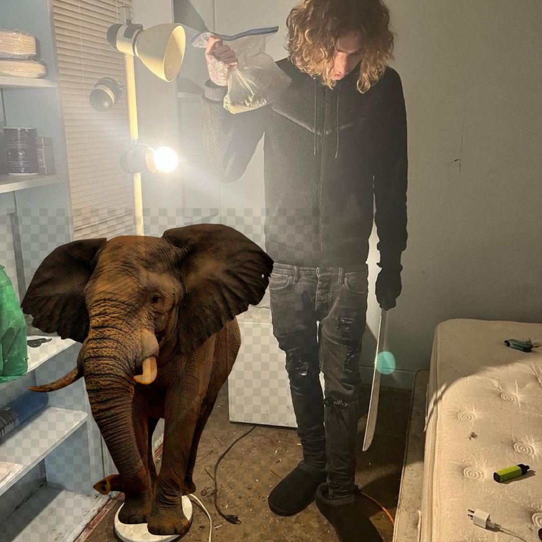 <a href="/brint/">brint</a> boolymon elephant