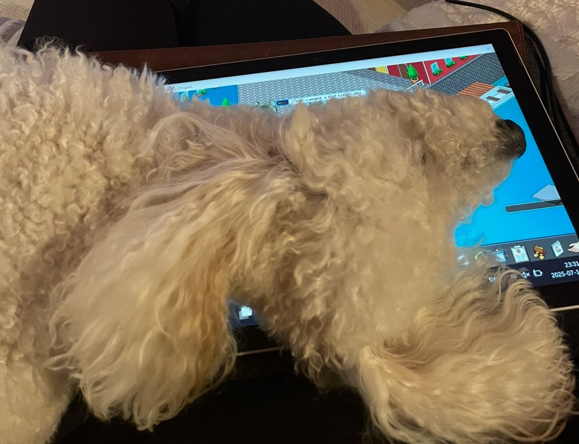 Habbotherese's tweet image. this bitch has to move im tryna get to 99 #habboorigins
