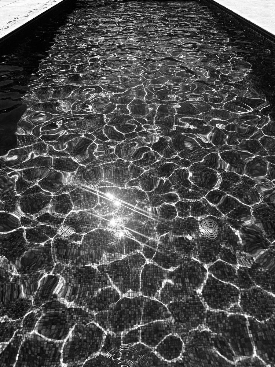 Share a recent favourite from your gallery!
Pool 🤩