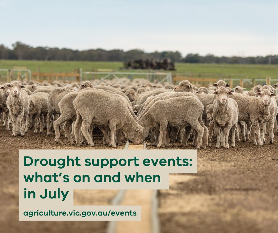 VicGovAg's tweet image. 🤠 Events to support farmers in drought are happening across the state.
From feed budgeting to succession planning, wellbeing to irrigation tips – our teams are here to support your farming business in good times and bad!
📅 Events coming up this week include:
July 16:…