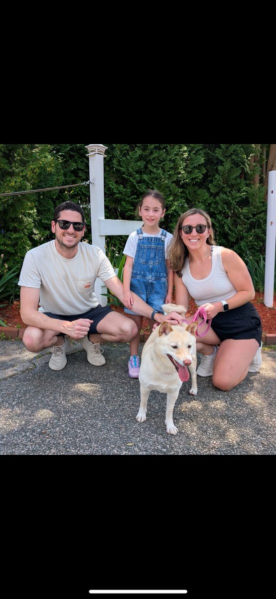foreverpaws's tweet photo. Scout was scooped up super quick and we absolutely LOVE that for her! 💞
#animalshelter #animalshelters #fpas #rescuelife #rescuedogs #rescuedog #shelterdog #shelterdogs #animalrescue #rescue #dogsofinsta #foreverpawsfamily #community #adopt #familypetsaresuperheros #dogsofinst https://t.co/ZazZ7qk8WT
