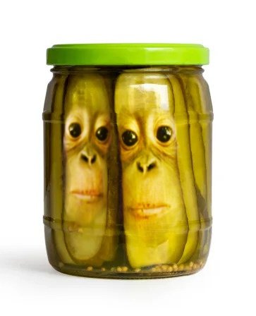 primateluvr's tweet image. Pickle twins... Do you trust the pickle twins?